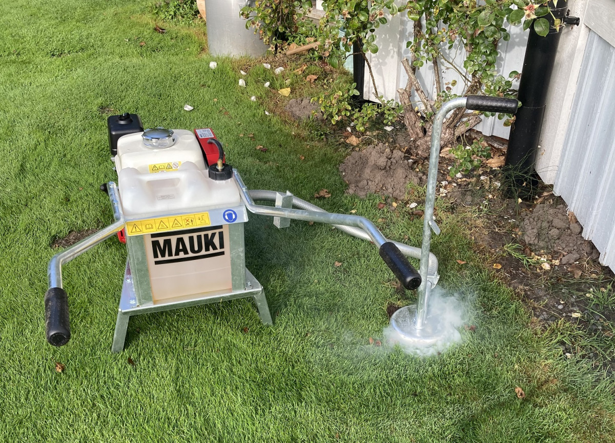 photo - Blom Friesland